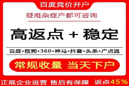 百度竞价排名服务：成功案例解析与优化策略